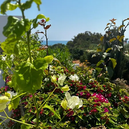 Coral Residences Sea View 16 Peja